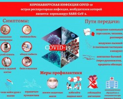 koronavirusnaya-infekciya-covid-19-3